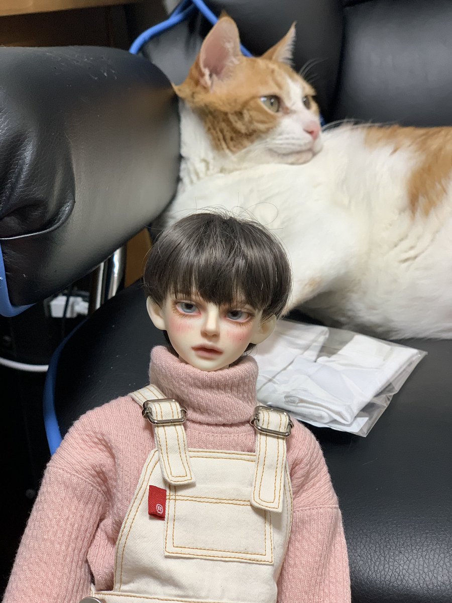 ℂℝ𝔼𝔸𝕄 ℂℍ𝔼𝔼𝔼ℤ𝔼 tweet media