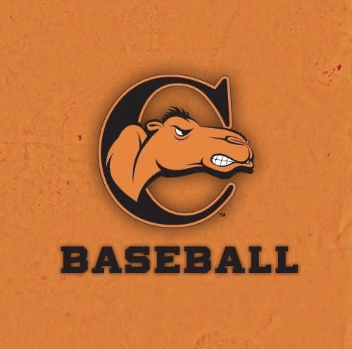 KaleScruggs's tweet photo. I am extremely excited to announce I will be continuing my academic and athletic career at Campbell University!  I want to thank God for this opportunity. I’d like to thank everyone who is apart of this #RollHumps https://t.co/DBzER7p5jP