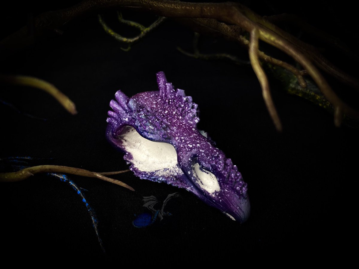 owllyn_workshop's tweet photo. Ice and space :3

#skulls #handmade #fantasy #craft #sculpture https://t.co/854S5XCm6K