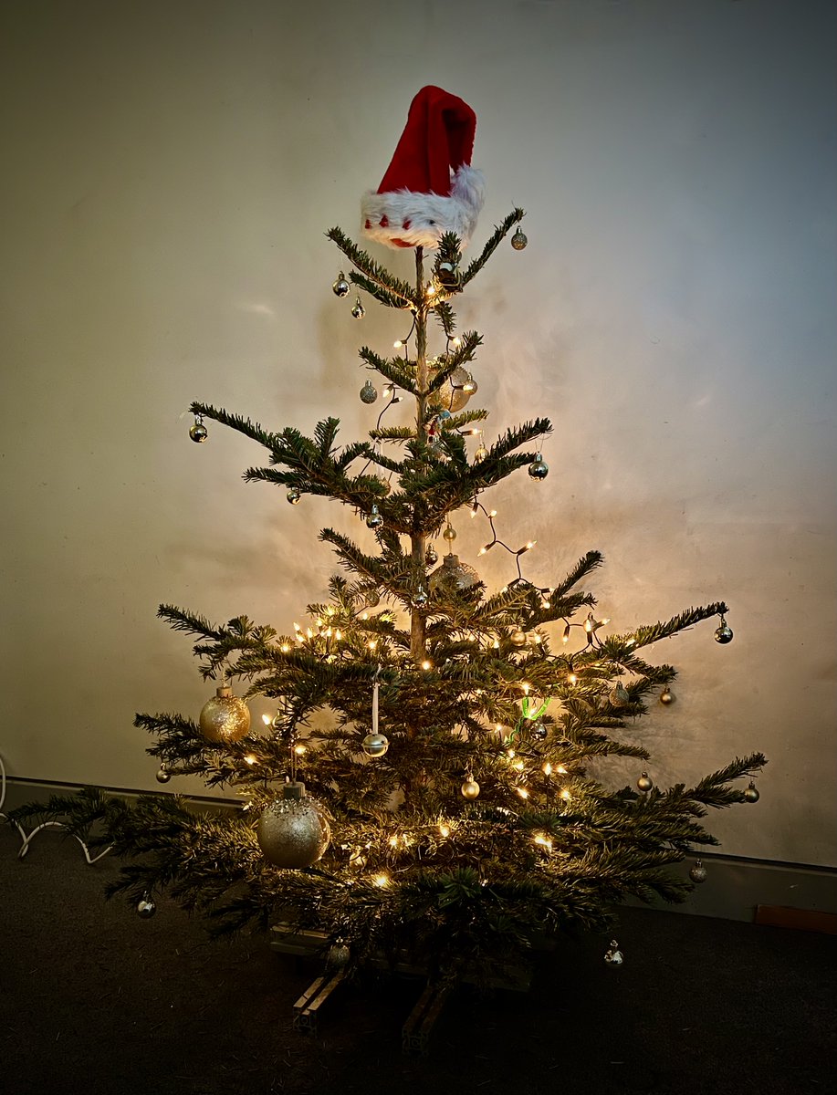 Lab Christmas tree for … the most wonderful time of the year! 🎶 🎄