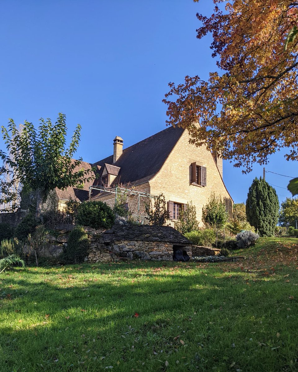 Dethilma tweet media