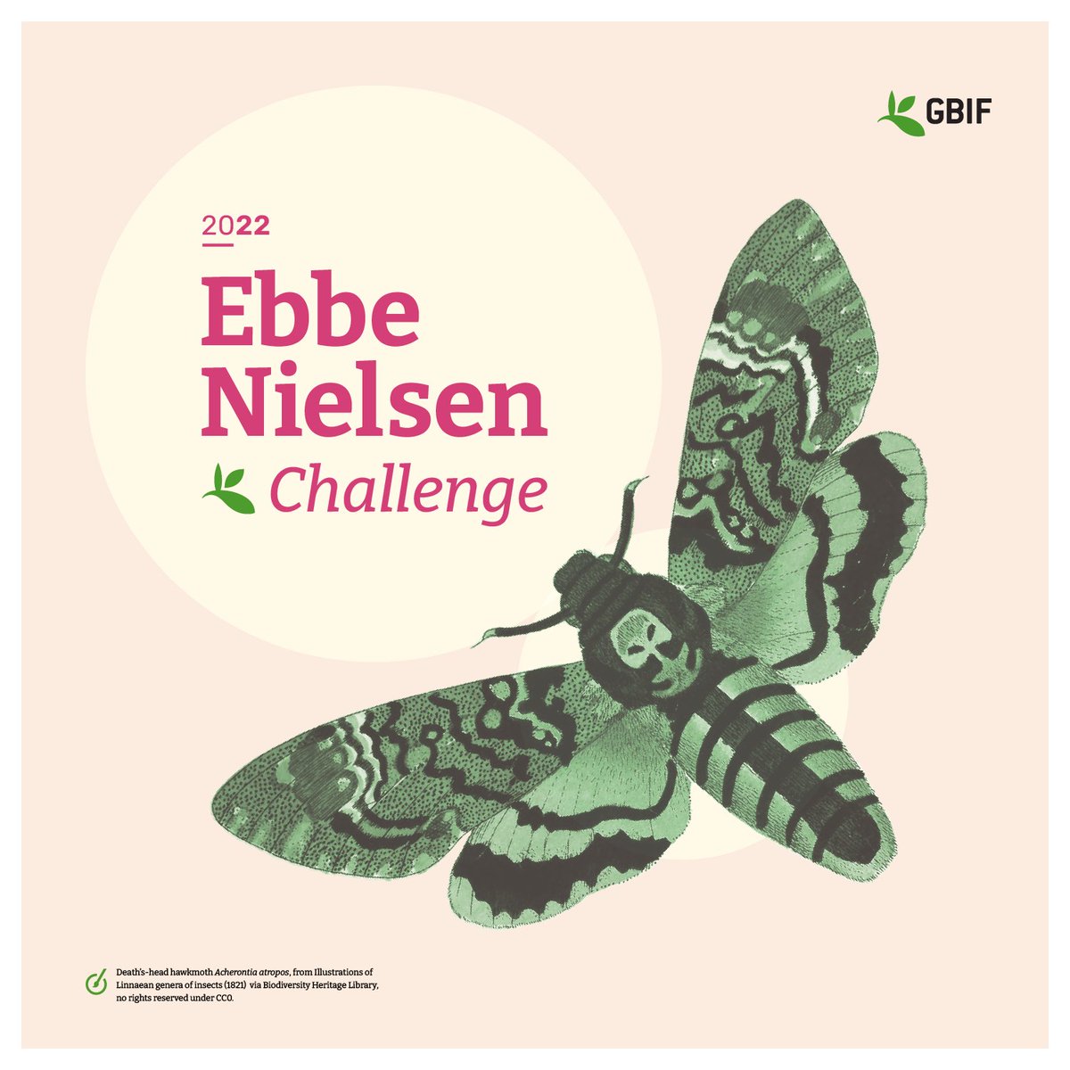 GBIF @biodiversity.social/@gbif tweet media