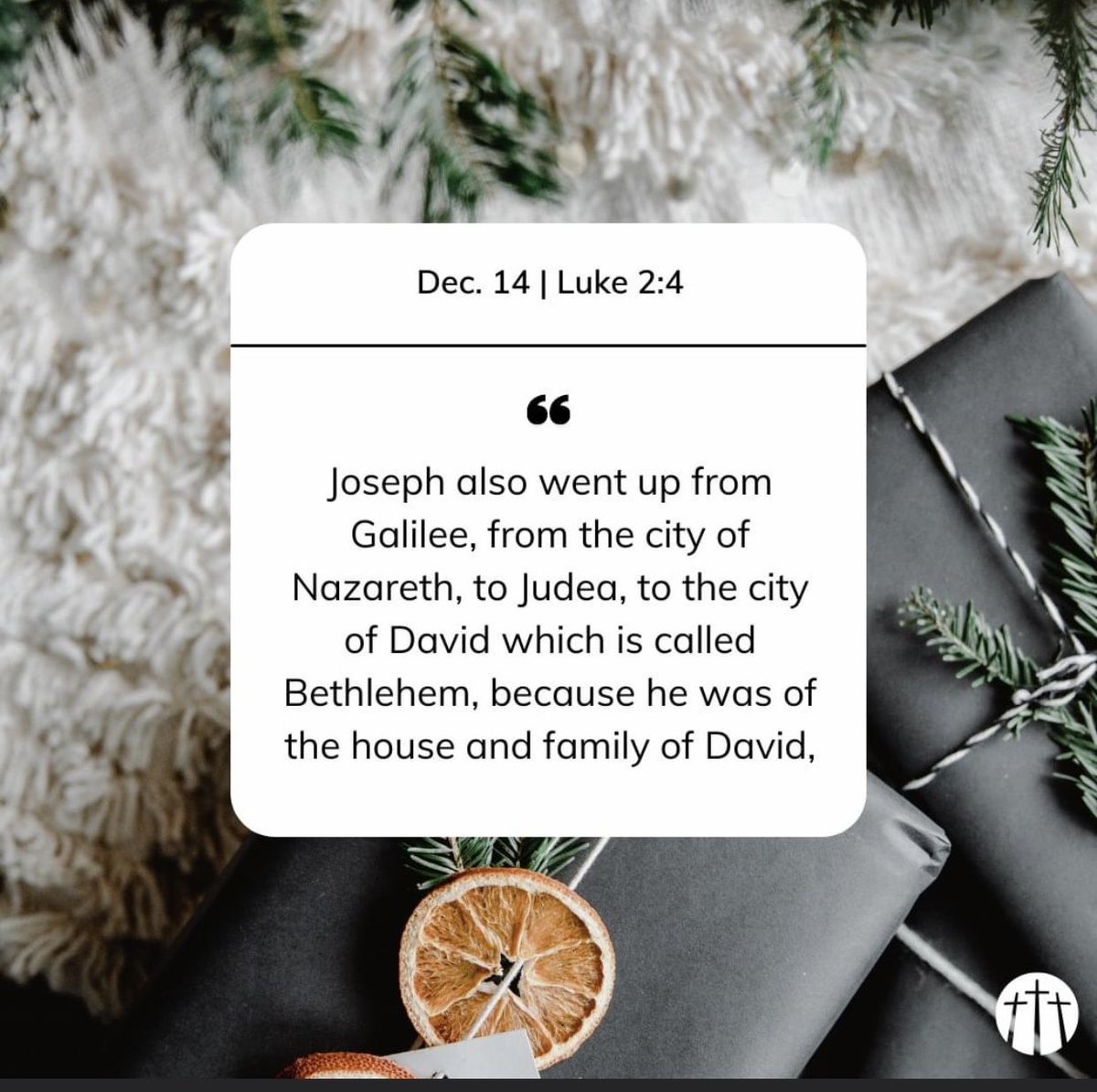 Debra Moody tweet media