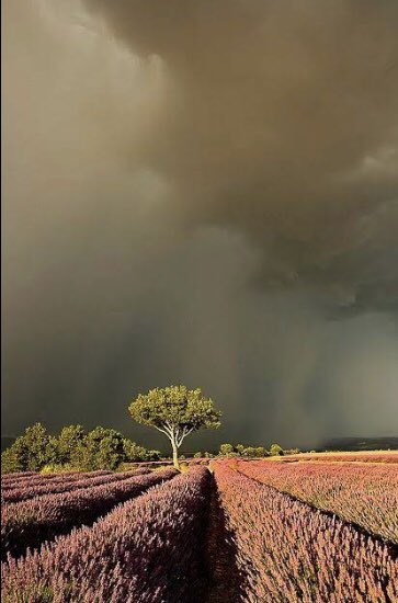 Ni en tu mejor momento serás suficiente para la persona equivocada,

y en tu peor tormenta, siempre serás perfecto para la persona correcta.