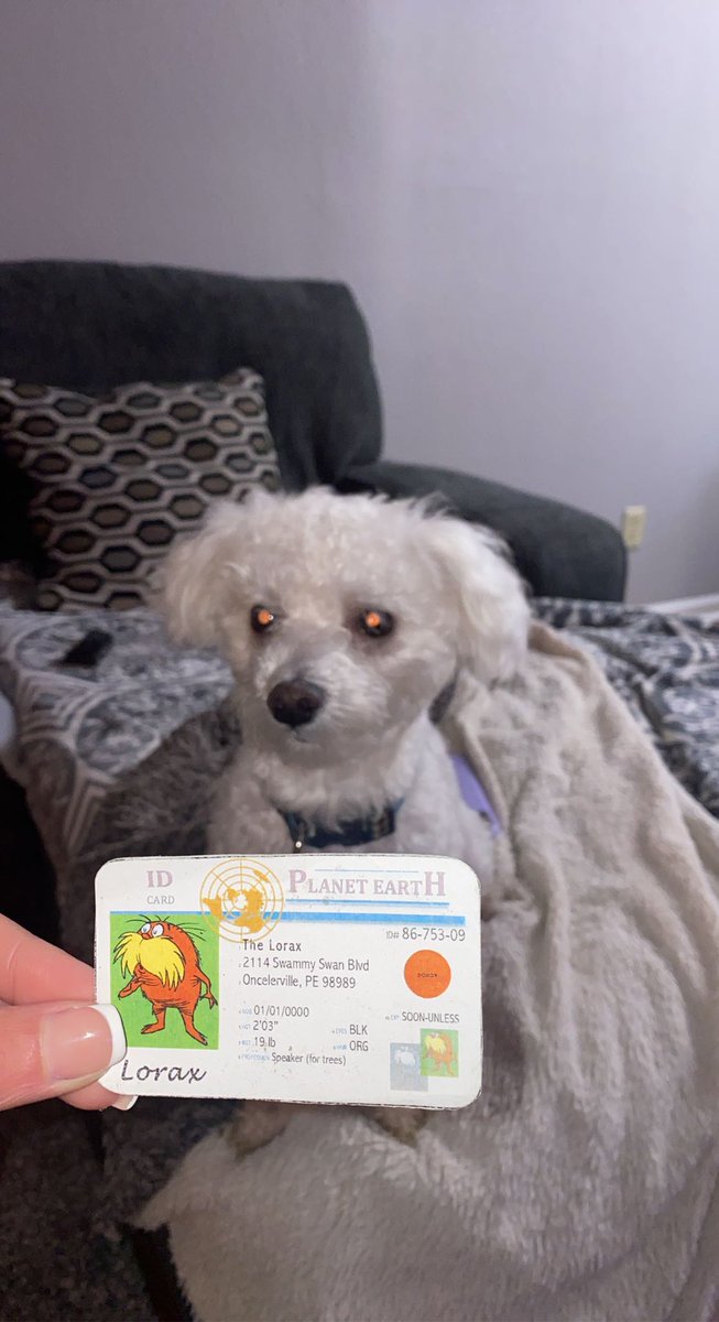 This is my puppy vuki! He’s an example of a k- strategist. He needed a lot of parietal care. This is why we couldn’t get him until he was 8 weeks! <a href="/franklinlorax/">APES Project Lorax</a> @apeseco