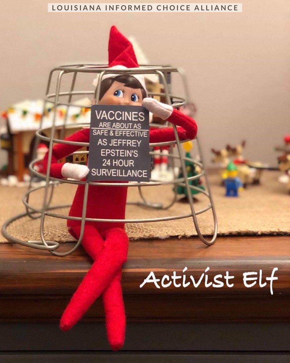 ActivistElf's tweet photo. #tbt #elfontheshelf #activistelf https://t.co/OgHuUKvMYi