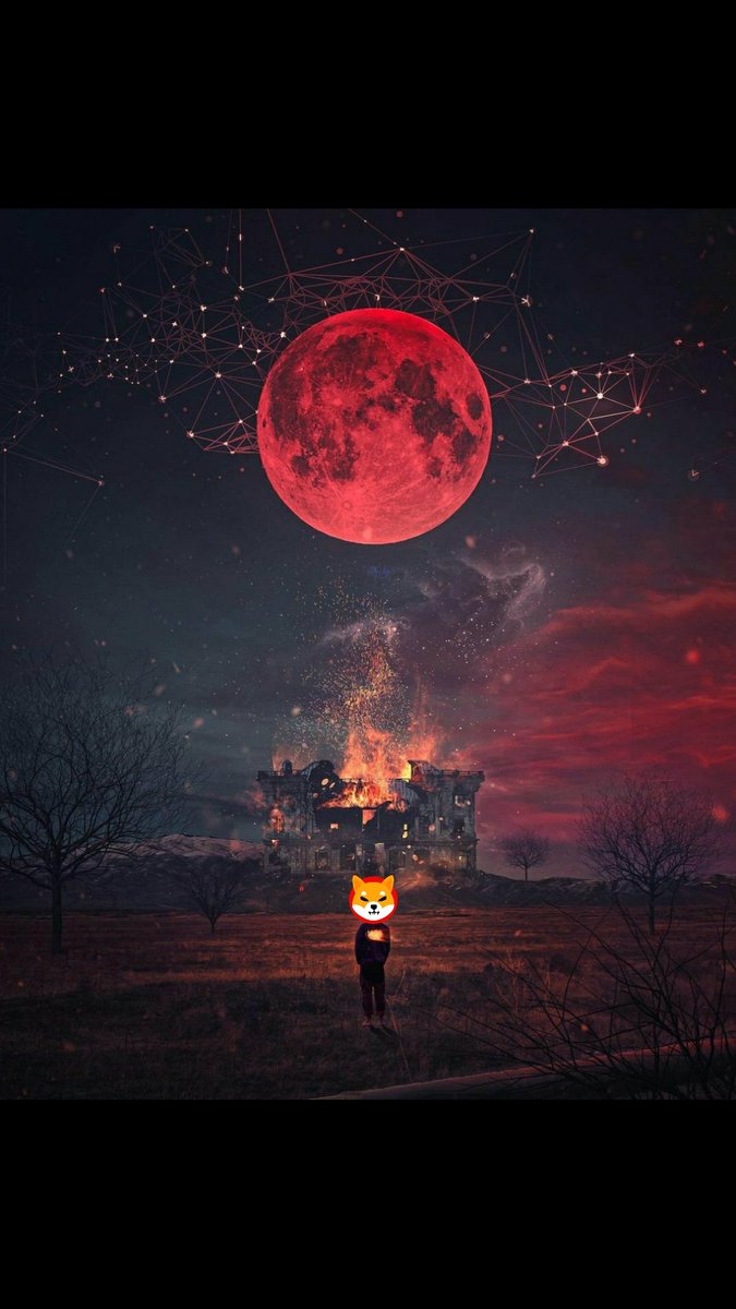 army_shiba's tweet photo. $SHIB Moon Mission! 🌙🐎 https://t.co/LsbOdQxQqY