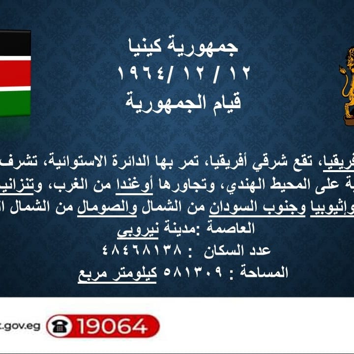 Study in Egypt Wafeden tweet media
