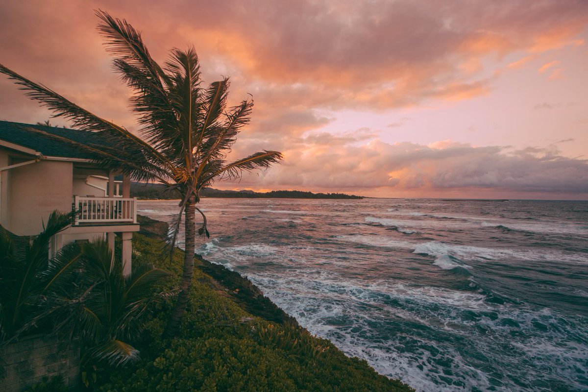 PORT8ART's tweet image. Stay

#photography #beach #travel