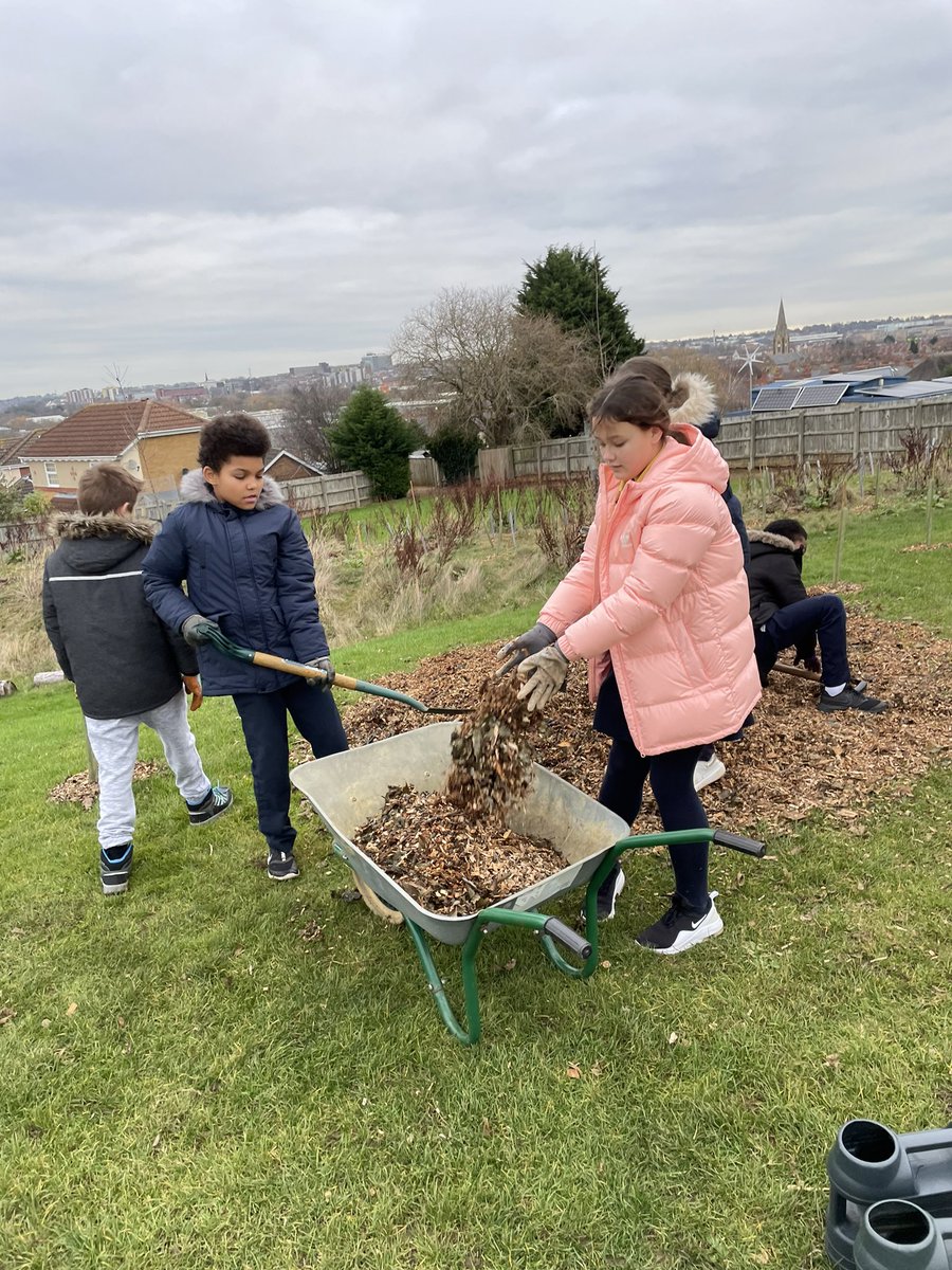 Some of our Year 6 children have been busy preparing our trees for the Christmas break! #dpstreeproject