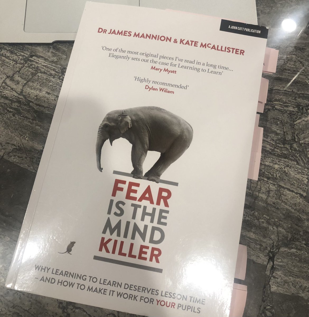 SapnaEdPsych's tweet photo. What an incredible read! So much to think about as I begin writing my Y1 Research Project… I look forward to exploring these ideas further. #FITMK https://t.co/o0QvDEkoOs
