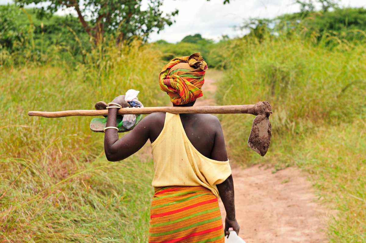 HFFA_Research's tweet photo. How to scale up incentives for #sustainable #LandManagement?
During recent months, we worked with the @giz_gmbh Sector Project “#Soil #Conservation, Combatting #Desertification, Sustainable Land Management” to answer this question.
👉 https://t.co/aRqTWmanGE https://t.co/TjzBmlngRT