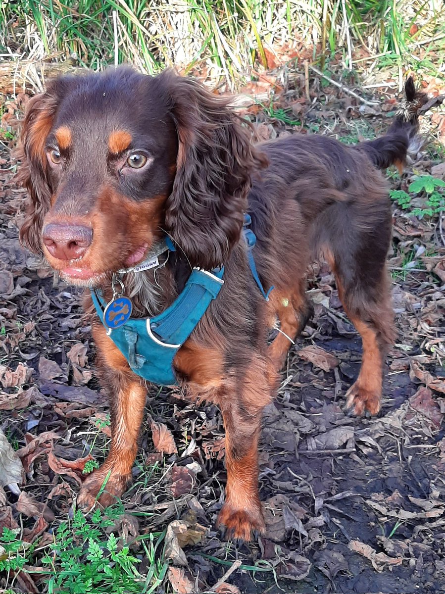 Bit of winter sunshine