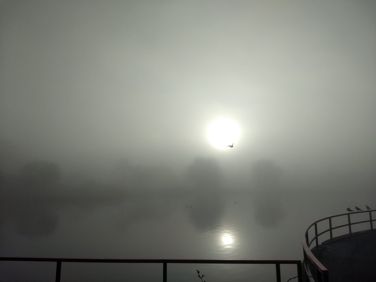 bghmlp's tweet photo. Booddchappen door de mist vanmorgen, wel mooi plaatje opgeleverd 😄👍

@rtl4nieuws @achtuurjournaal @NPO1 @ED_Regio @WilliamHuizinga @helgavanleur @weer @KNMI @BuienRadarNL @weer @Weerplaza @Talpaweer @omroepbrabant @Brouwhuis #brouwhuis #wijkpark #helmond https://t.co/0BiksgtCkK