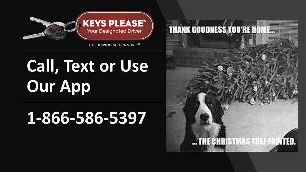 Happy Thursday! Has your family pet ever happened to you? #happythursday #drinking #beer #wine #cannabis #impairment #impaireddriving #designateddriver #driving #vehicles #transportation #christmas #support #safety #calgary #yyc