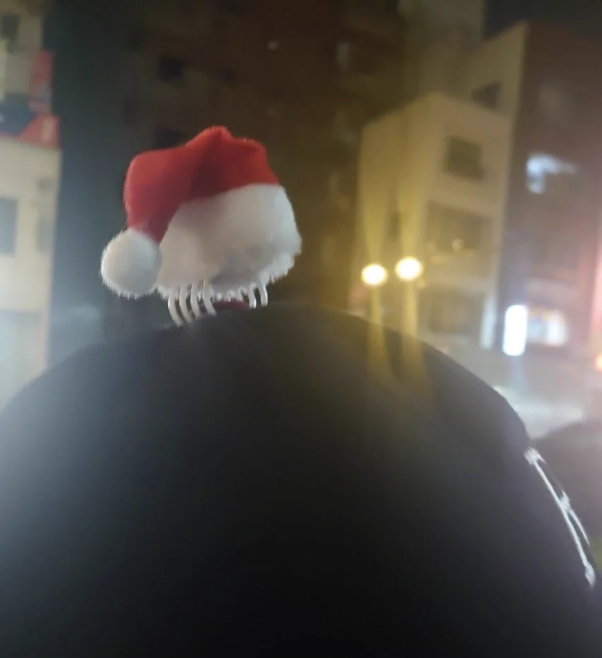 ミニサンタ帽を頭に乗せてたら、サンタ帽に擬態したエイリアンに寄生されてる人と言われてしまうｗｗ