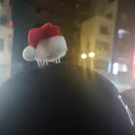 ミニサンタ帽を頭に乗せてたら、サンタ帽に擬態したエイリアンに寄生されてる人と言われてしまうw