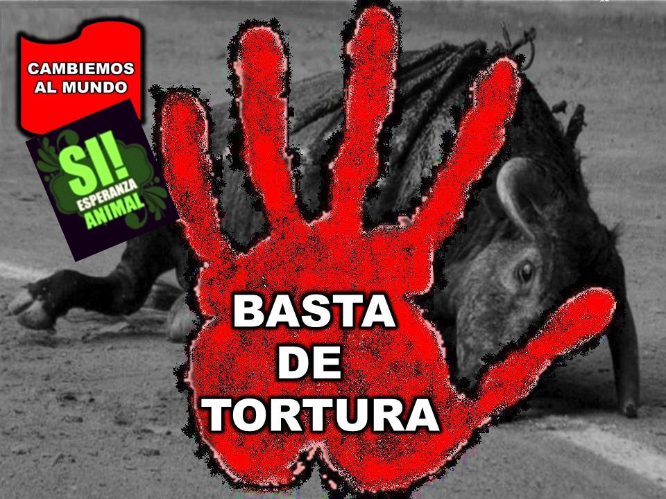 laurahdz28094's tweet photo. @Forbes_Mexico #LaTauromaquiaEsPerversa https://t.co/LXOjJ6CeAv