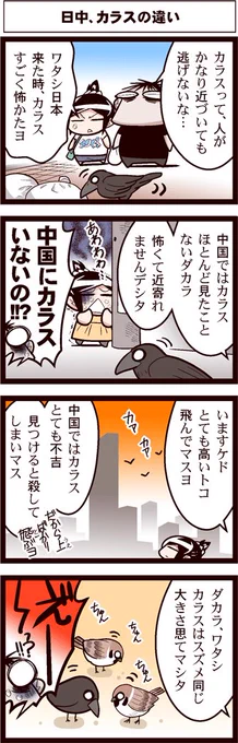 #よりぬき中国嫁日記
日本と中国のカラスの違い。 