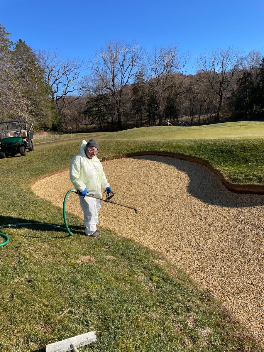 mikewill0786's tweet photo. Seven renovated bunkers and counting this offeason (Better Billy Bunker).  All bunkers that had standing water during rain events have now been renovated.  White sand + Tall Fescue sod surrounds= beautiful framework for a golf hole. https://t.co/AfDou503II