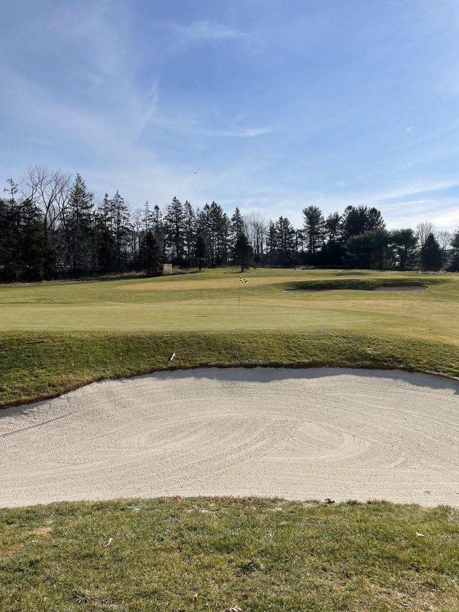 mikewill0786's tweet photo. Seven renovated bunkers and counting this offeason (Better Billy Bunker).  All bunkers that had standing water during rain events have now been renovated.  White sand + Tall Fescue sod surrounds= beautiful framework for a golf hole. https://t.co/AfDou503II