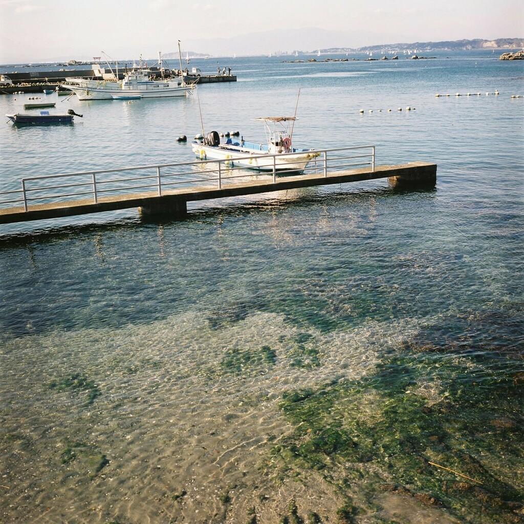 terugraphy08's tweet photo. *
🗓 2021.12
📍 葉山
#film #mediumformat
📷 #zenzabronicas2
🎞️ #pro400 #expiredfilm
==========
https://t.co/tIeo8EZbIE https://t.co/D6H5rpNA2m