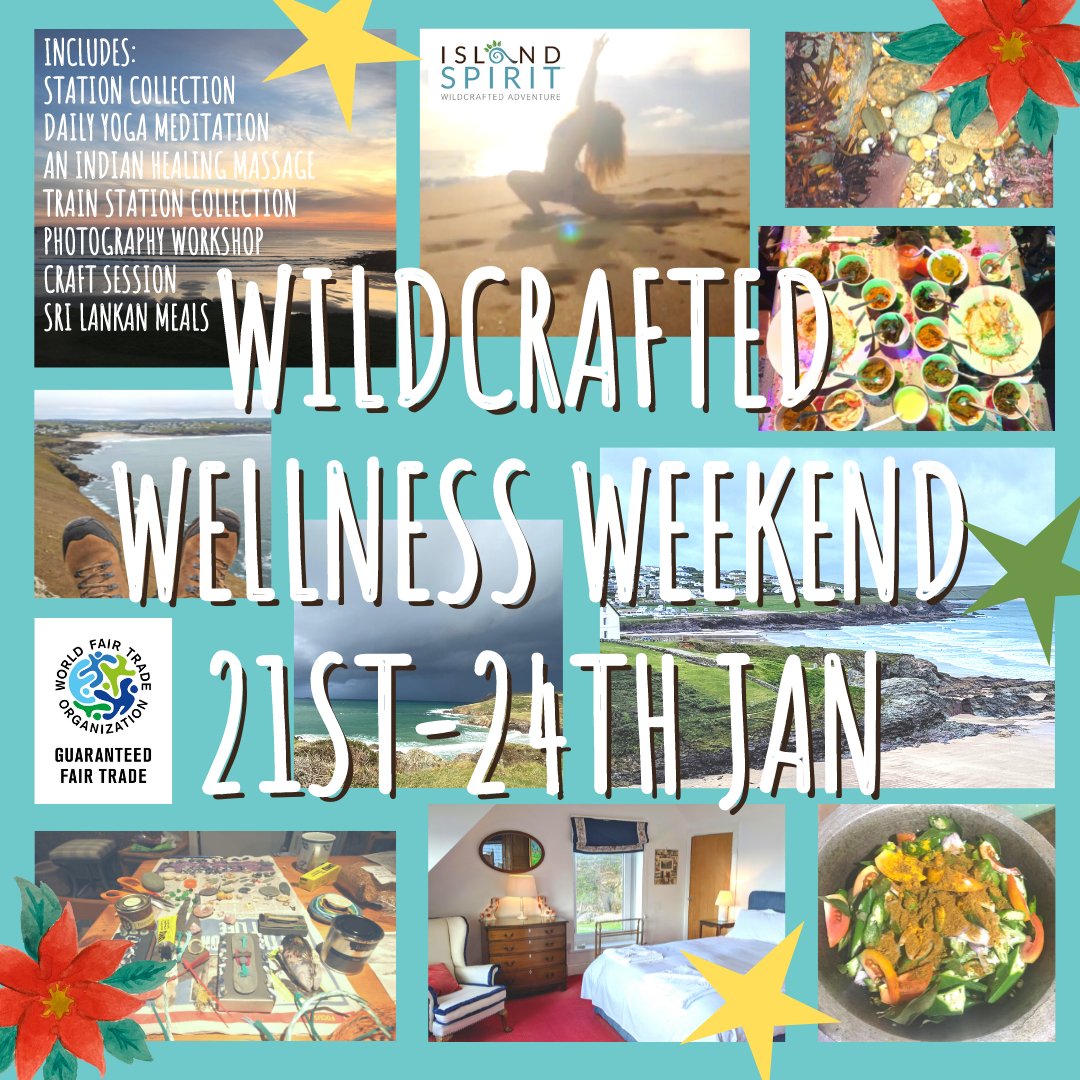 IslandSpiritEco's tweet photo. 🌲 Happy Christmas One and All! ⭐
Discounts available!
🙏 £370pp small twin
🙏 £410pp bright double or twin with a sea view
🙏 £510pp top of the house double master bedroom.
Celebrate a cosy, warm, Wildcrafted Wellness Weekend with the incredible Indian yoga teacher, Dr Kamaraj. https://t.co/wdE6JBRnjh
