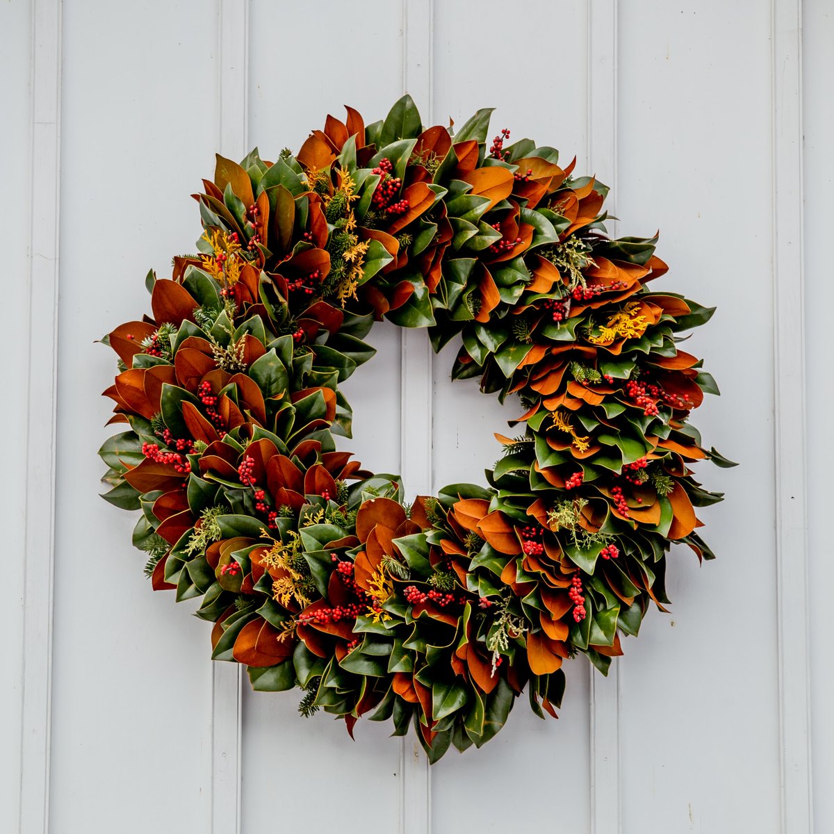 With Best wishes to clients, colleagues and associates  for a Happy Christmas and to a better 2022!