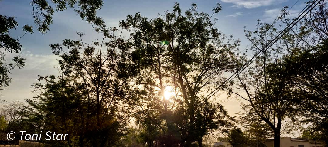 "La nature a mis le bonheur à la portée de tous, il ne faut que savoir le choisir."
Proverbe latin