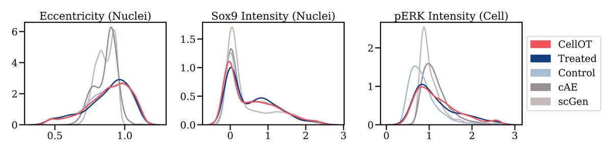 _bunnech's tweet photo. By enforcing this strong regularization and without the dependency on a meaningful latent space, #CellOT outperforms existing state-of-the-art methods and accurately matches cellular features after perturbation. https://t.co/8TWjy6Tdmc