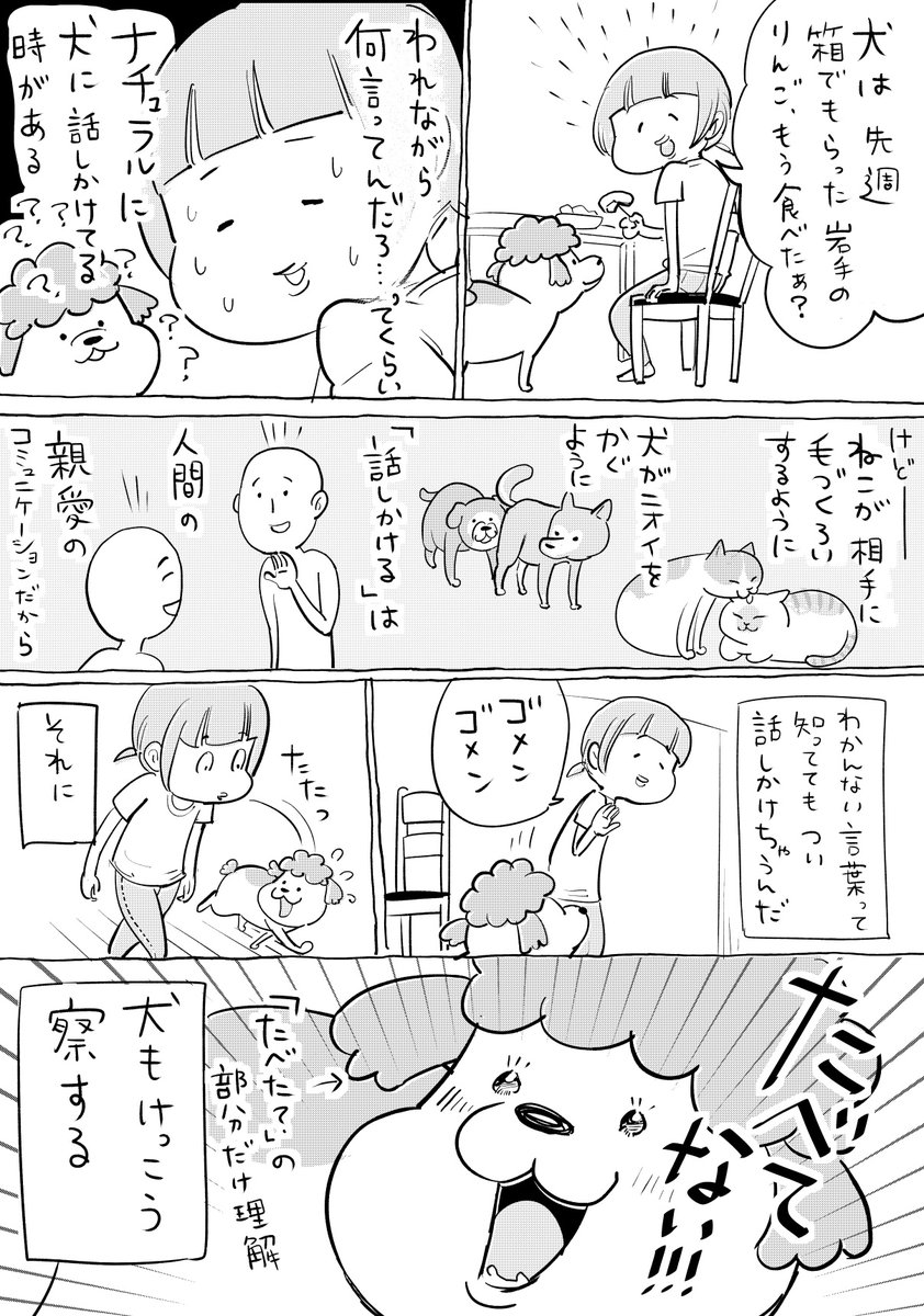 犬と猫どっちも飼ってると、話しかけたりかけられたりで結局たのしい 