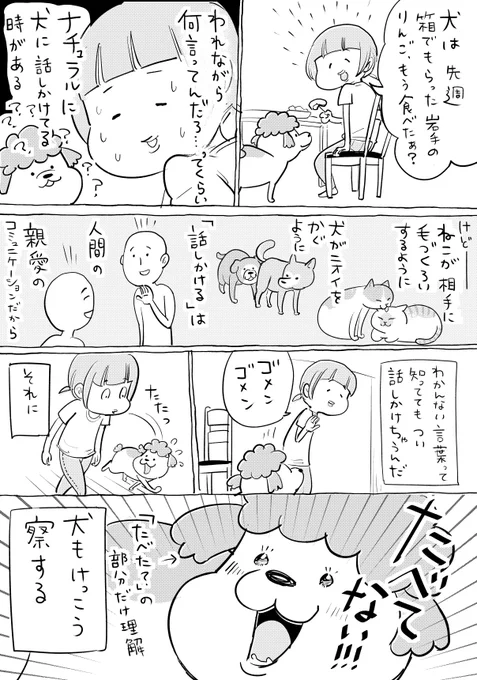 犬と猫どっちも飼ってると、話しかけたりかけられたりで結局たのしい 