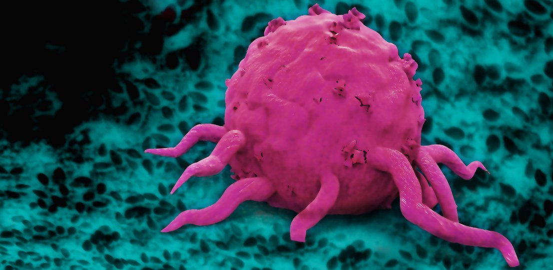 apeironbio's tweet photo. #News: @invIOs_com a fully owned subsidiary of APEIRON Biologics AG is pleased to announce it will commence operations on 1 January 2022. 
Read more: https://t.co/CERTZwpwMR
#newcompany #CancerResearch https://t.co/z657AuKsWg