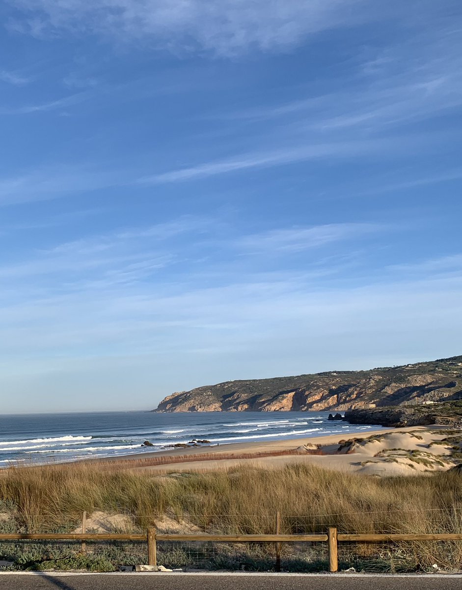 Ricardo Borges de Castro 🇺🇦🇬🇱🟧 tweet media