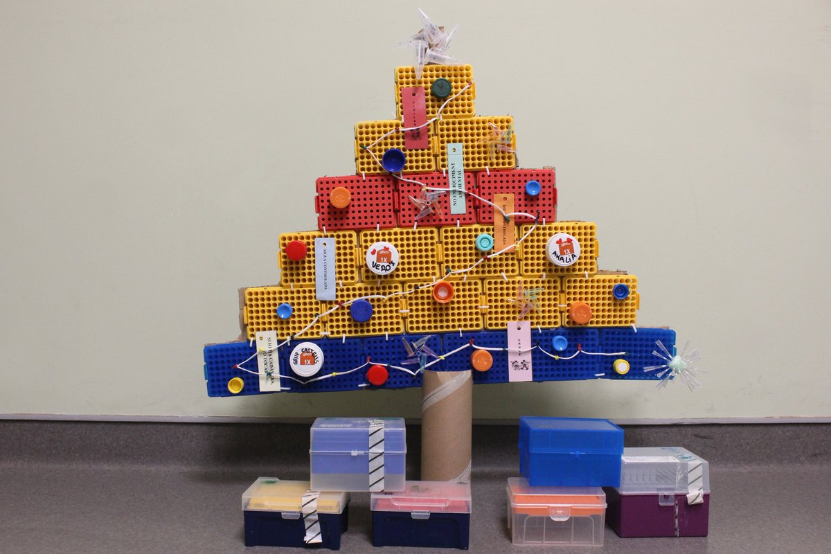 OGIPclinic's tweet photo. Ja รฉs Nadal als laboratoris de l'equip #OGiP! ๐๐
@ArayaVillagrasa i #Amร liaMuรฑoz han fet aquest pessebre i arbre de Nadal tan espectaculars nomรฉs amb material reciclat!
@idibaps @hospitalclinic #Christmaslab #ScienceArt https://t.co/wggRoCil40
