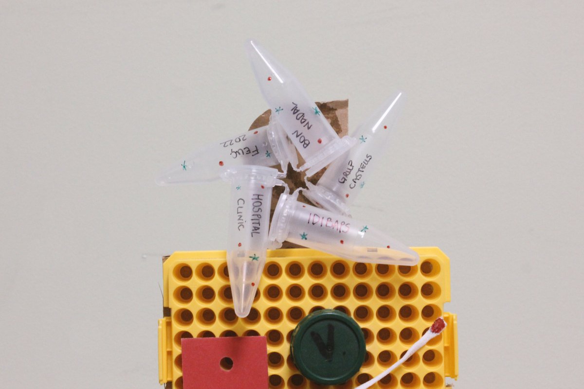 OGIPclinic's tweet photo. Ja รฉs Nadal als laboratoris de l'equip #OGiP! ๐๐
@ArayaVillagrasa i #Amร liaMuรฑoz han fet aquest pessebre i arbre de Nadal tan espectaculars nomรฉs amb material reciclat!
@idibaps @hospitalclinic #Christmaslab #ScienceArt https://t.co/wggRoCil40