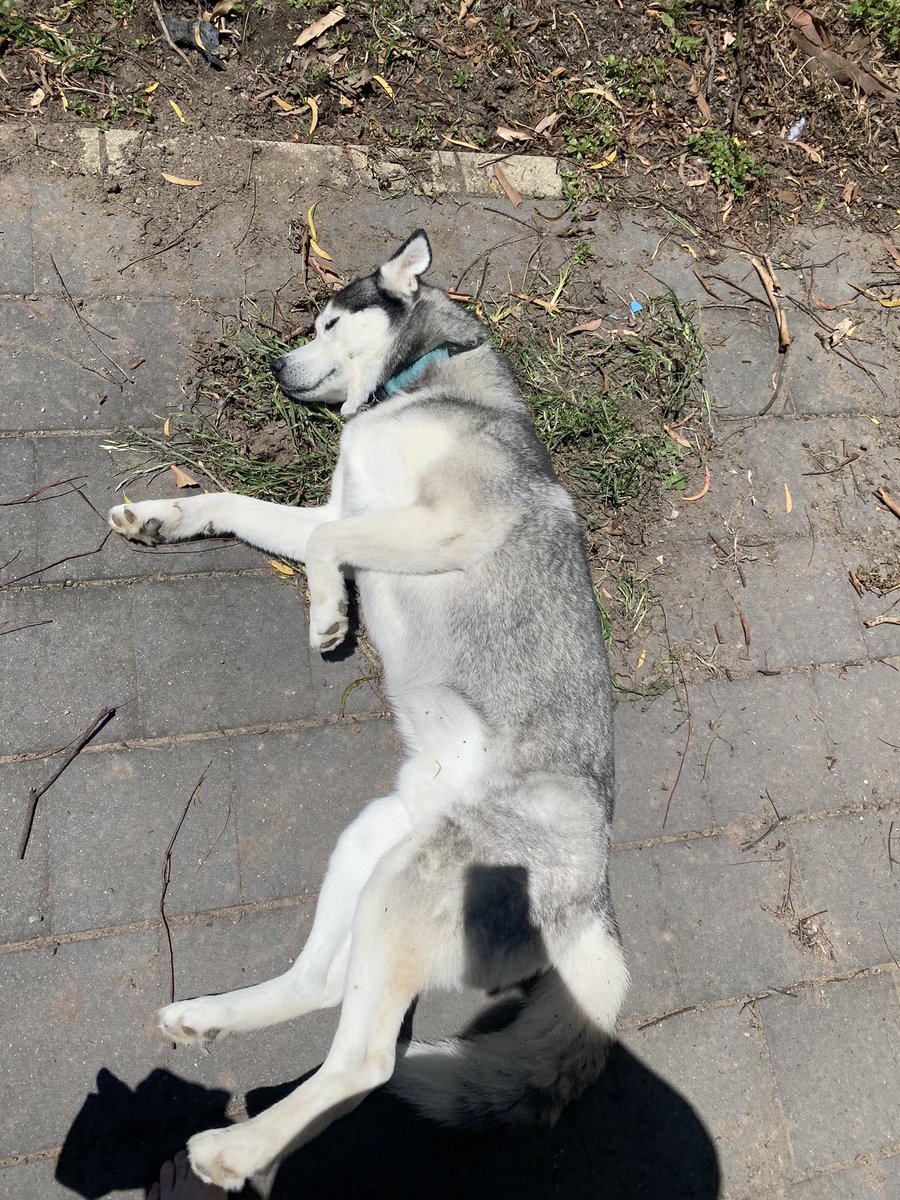 AnonymousMat's tweet image. Mood