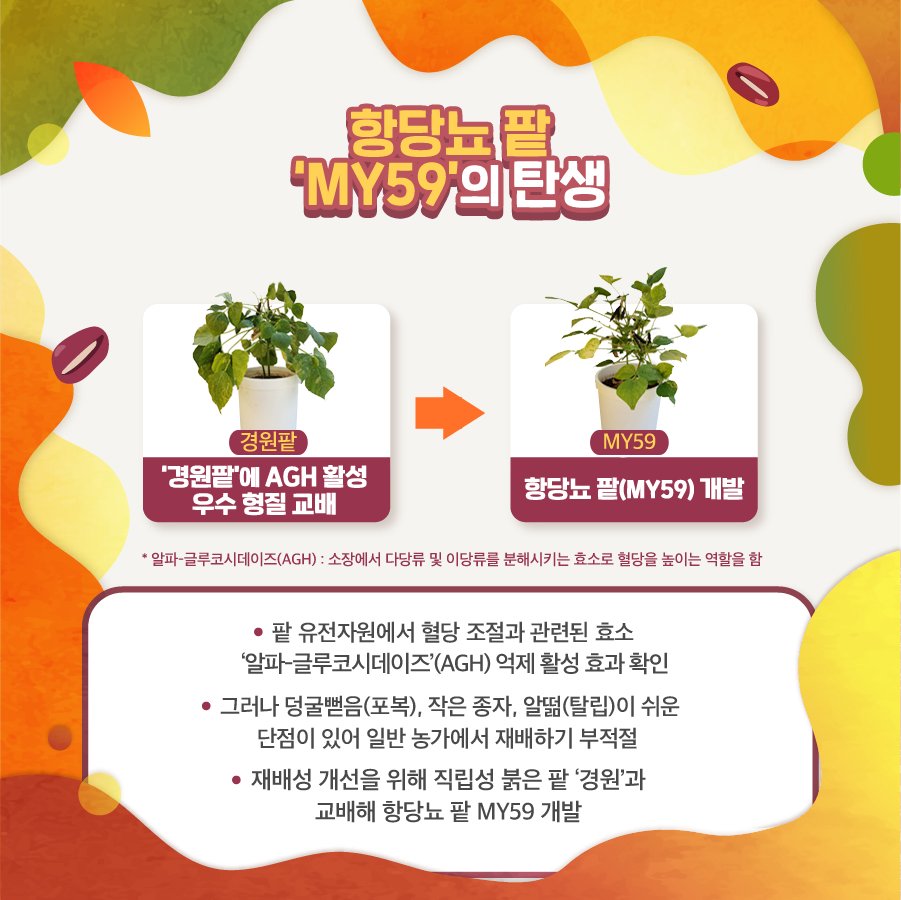 love_rda's tweet photo. 팥! 영양식품에서 당뇨 혈당 조절 보조제로 진화! 🩸
🧪 항당뇨 팥(MY59)의 활성을 유지·증진하는 추출 기술로 핵심 추출물을 만들어 동물실험을 한 결과, 뛰어난 혈당조절과 식이요법 효과를 확인할 수 있었습니다.
👉자세히 보기 https://t.co/Zl6PT967UB
#당뇨 #혈당 #팥 #항당뇨팥 #MY59 https://t.co/9wmkszDeqJ