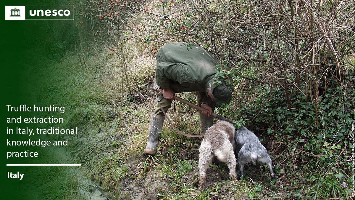 UNESCO 🏛️ #Education #Sciences #Culture 🇺🇳 tweet media