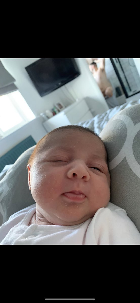 SmithySamuel's tweet photo. Kate tried getting a nice photo of Martha but instead got me shitting in the background 🤣🤣🤣 https://t.co/n2zZkL6uWV