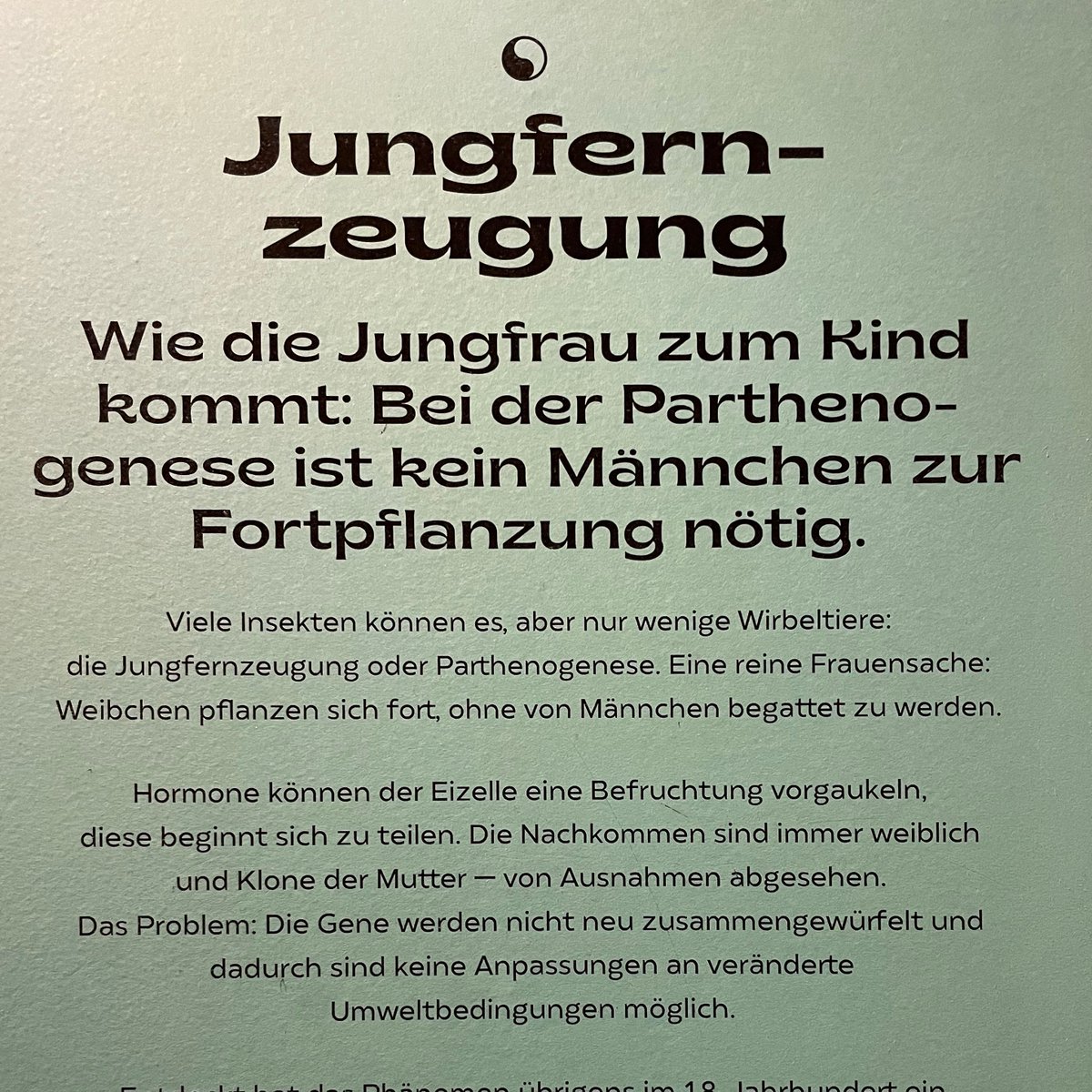 Das sollte uns gerade rund um Weihnachten zu denken geben.