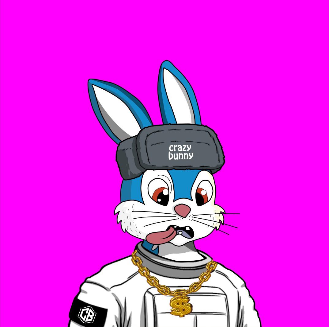 Crazy Bunny Cartoon