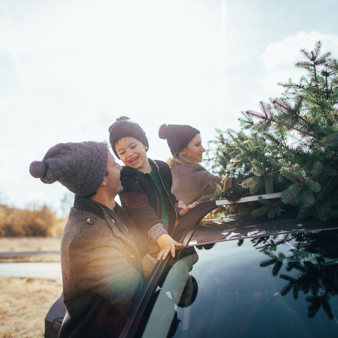 Kijkt u uit naar de vakantieperiode? Al een uitstap in de kerstweken gepland? 🚗
Wij maken het u gemakkelijk, want bij ons annuleert en wijzigt u kosteloos (volledige terugbetalingen).
Geen gedoe. 
ms.spr.ly/6010ZG624