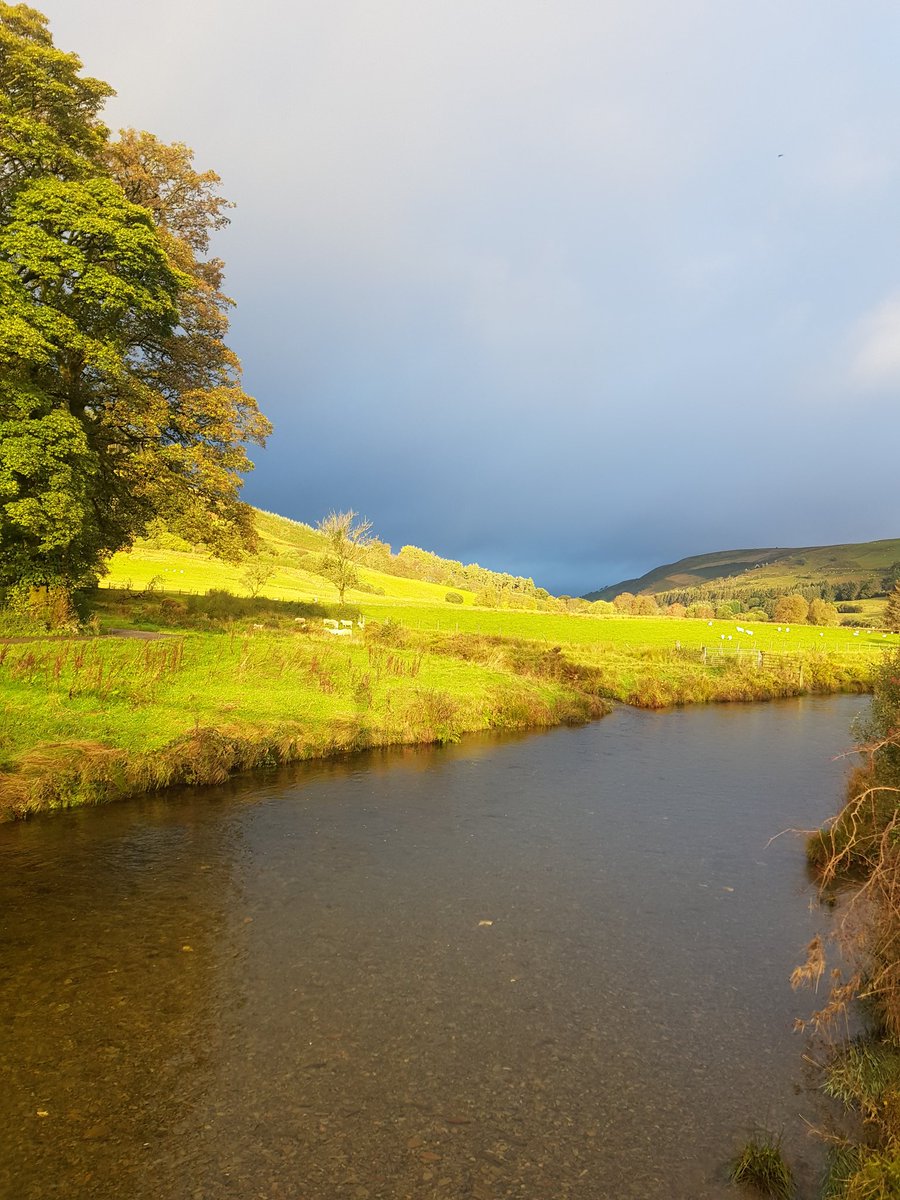 Dick Jones (@dickjon02806048) on Twitter photo 💥🏴Late availability at #felinfawrlodges 🏴💥 Fri 17th Dec for 2/3/4/5 nights. Big discount available! Please contact us at felinfawr.co.uk 🎅🎄☃️🎅🎄☃️ <a href="/markwil147/">MARK WILLIAMS M.B.E</a> <a href="/agricontract/">Olly harrison 🥛🍔🌱AccidentalYoutuber</a> <a href="/emrata/">Emily Ratajkowski</a> <a href="/pip_says/">Portia Jones</a> <a href="/reid6peter/">Peter Reid 💙</a> <a href="/no1sunkfarmer/">@No1sunkfarmer ©️</a> <a href="/wheat_daddy/">Andrew Ward 🇬🇧🚜</a> <a href="/VisitCambMtns/">The Cambrian Mountains ❤️🏴⛰✨</a> <a href="/HelloBracken/">Bracken Burrows</a> 💥🏴Late availability at #felinfawrlodges 🏴💥 Fri 17th Dec for 2/3/4/5 nights. Big discount available! Please contact us at felinfawr.co.uk 🎅🎄☃️🎅🎄☃️ <a href="/markwil147/">MARK WILLIAMS M.B.E</a> <a href="/agricontract/">Olly harrison 🥛🍔🌱AccidentalYoutuber</a> <a href="/emrata/">Emily Ratajkowski</a> <a href="/pip_says/">Portia Jones</a> <a href="/reid6peter/">Peter Reid 💙</a> <a href="/no1sunkfarmer/">@No1sunkfarmer ©️</a> <a href="/wheat_daddy/">Andrew Ward 🇬🇧🚜</a> <a href="/VisitCambMtns/">The Cambrian Mountains ❤️🏴⛰✨</a> <a href="/HelloBracken/">Bracken Burrows</a>