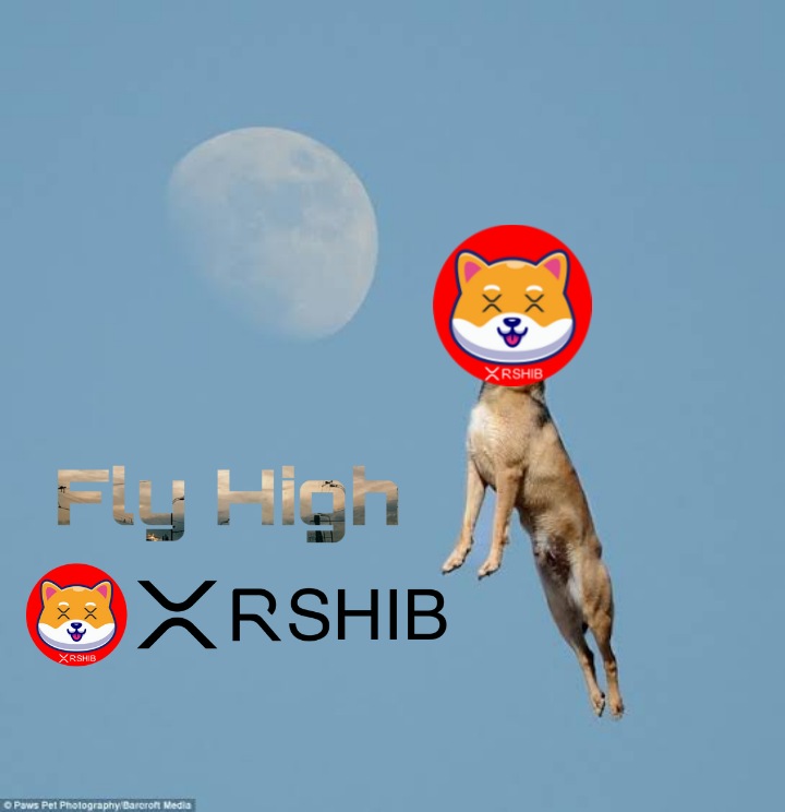 SHIB · Powered by the XRP Ledger tweet media