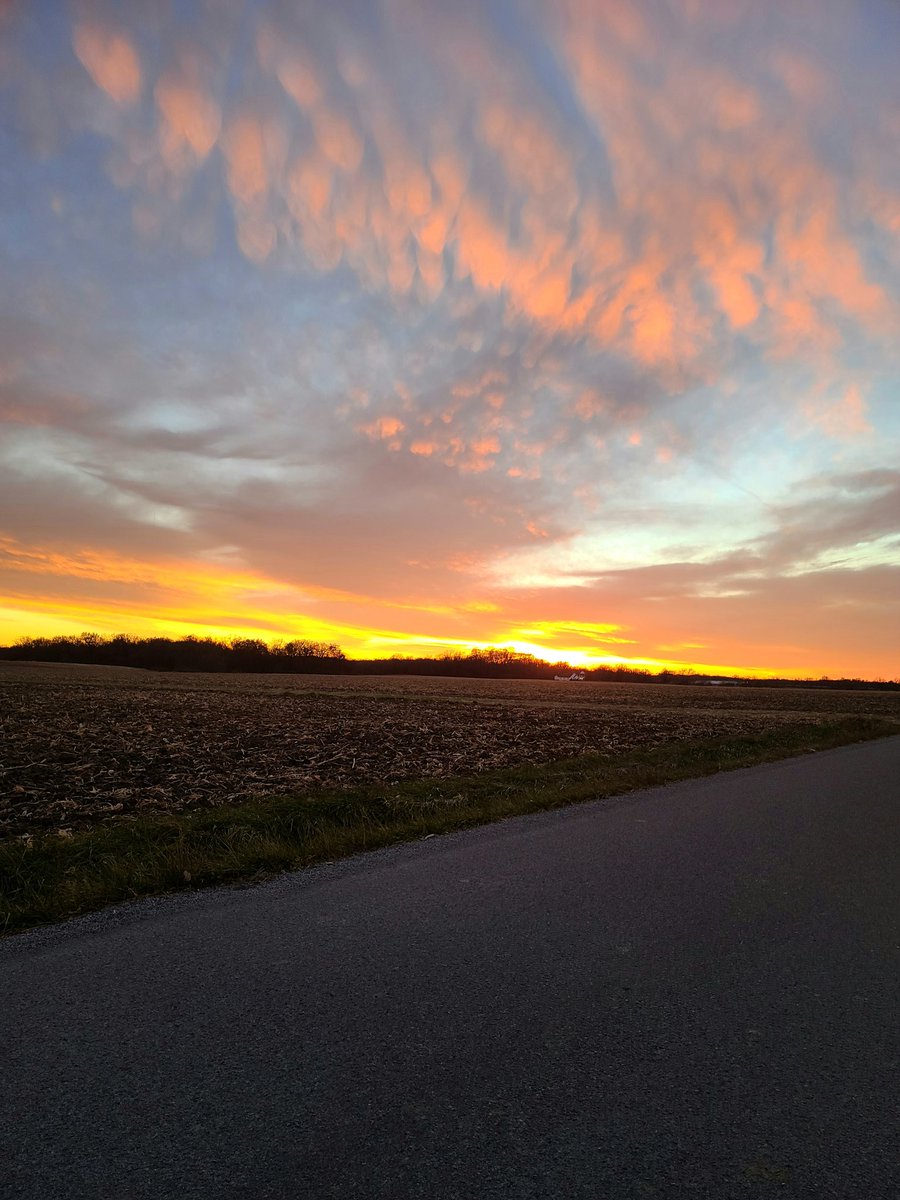 Maver1ckSamurai's tweet photo. #nature #phonephotography #photooftheday #amateurphotography #amateurphotographer #naturephotography #naturelover #amateur #photo #pic #naturephoto #fyp #grass #field #sky #sunset #skyphotography #sunsets https://t.co/X5lCl3bHZv