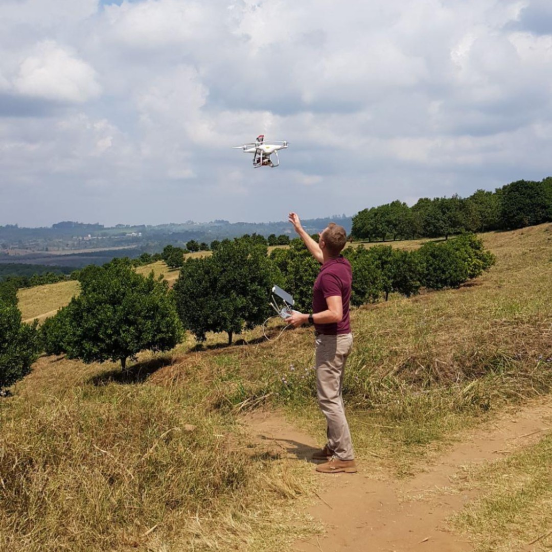 CamelliaPlc's tweet photo. #TechnologyInAction at our Nasonia Macadmia Estate captured by Graham Staines, Technical Development Manager, @EPM_Limited - A drone was used with multispectral and visual cameras to capture high-resolution images to extract crop insights #Maclands #AI #Drone #CamelliaPhotoComp https://t.co/ftg65IRW6H