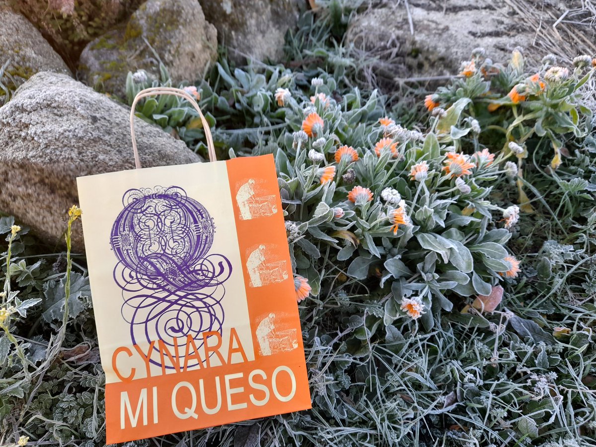 En diciembre no hay valiente que no tiemble. Feliz día 🧀🍷