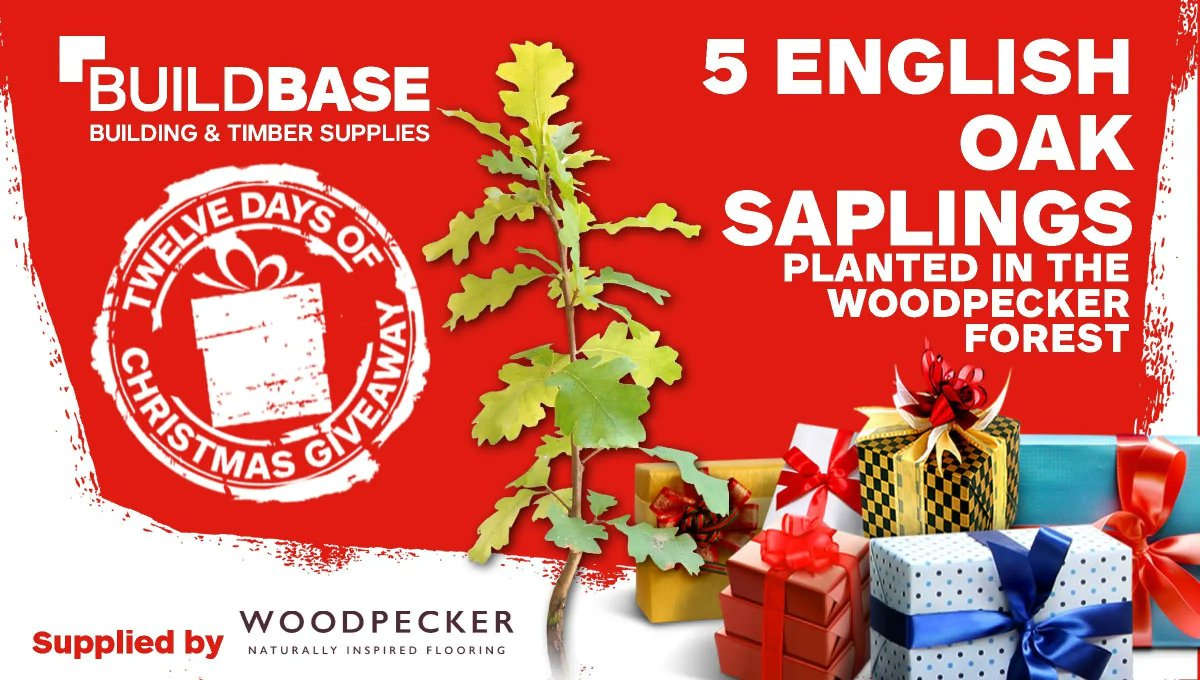 BuildbaseUK's tweet photo. On day 4 of the #Buildbase12DaysOfChristmas you have the chance to have 5 English oak saplings planted in a name of your choice at the woodpecker forest!
To enter just like this tweet & follow us @Buildbaseuk!
Prize supplied by @wearewoodpecker
T&Cs:https://t.co/ckiIMLdA4b
#win https://t.co/JS56Hlv5Gi