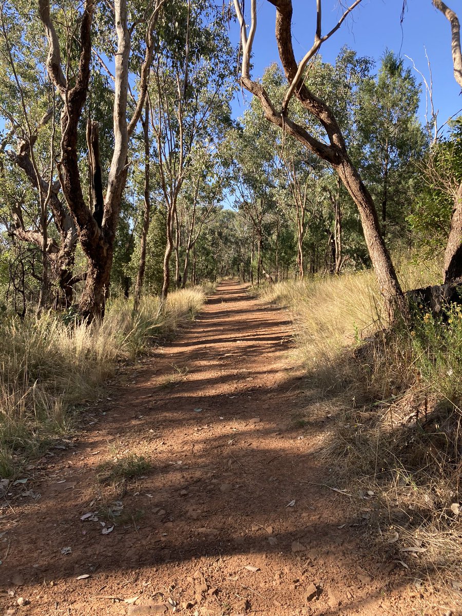 KenGrimson's tweet photo. Another fun run on #waggawagga’s Willans Hill. Came across a Bearded Dragon lizard and a kangaroo but no brown snakes today. A nice up and down run mainly on dirt tracks but some bitumen at the Big Dipper.
Charles Sturt University Alumni
#runCharlesSturtrun
#charlessturtalumni https://t.co/pqbUbChHV5